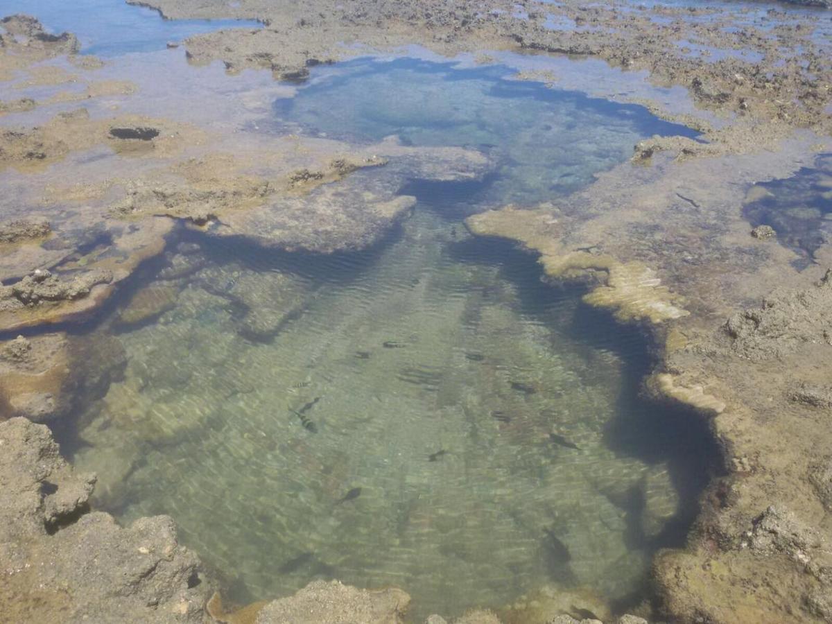 Pousada Recanto Da Enseada Cabo de Santo Agostinho Bagian luar foto